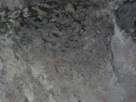 Fledermausparadies Drachenhhle