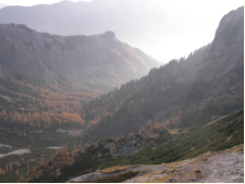 In der herbstlichen Trawies