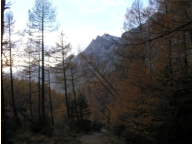 Am unteren Ende der Trawies