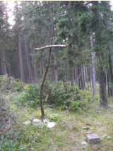 Gipfelkreuz am Schwarzenberg