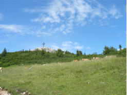 Gipfelbereich des Hochlantsch