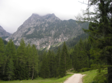 Blick vom Sonnleitner Reut zurck zum Pyhrgas