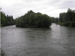 Mur mit Insel in Zeltweg
