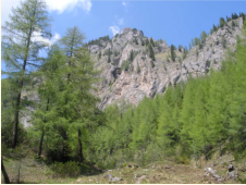 Gipfelaufbau des Klauen