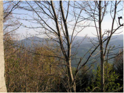 Blick vom Klo der Waldburgangerhütte auf den Wechsel