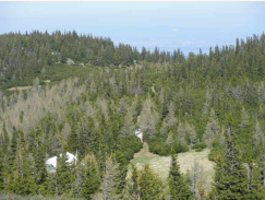 Krummbachsteinhütte vom Gipfel aus aufgenommen