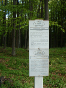 Am Gnsecker Angerl