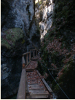 Steiganlage im Zentrum der Falkenschlucht