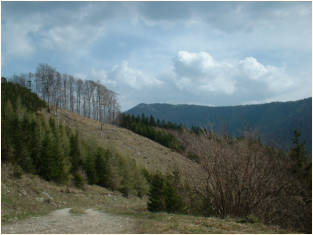 Blick von der Schngrabenspitze Richtung Hohenstein