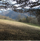 Am Geisberg