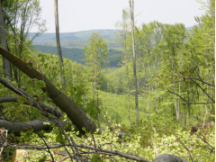 Ausblick gen' Norden vom Hengstlgrat
