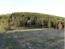 Am bergang vom Rossgipfel zum Habelsberg