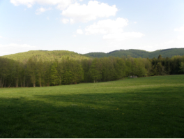 Wiese am Abhang des Mitterriegel
