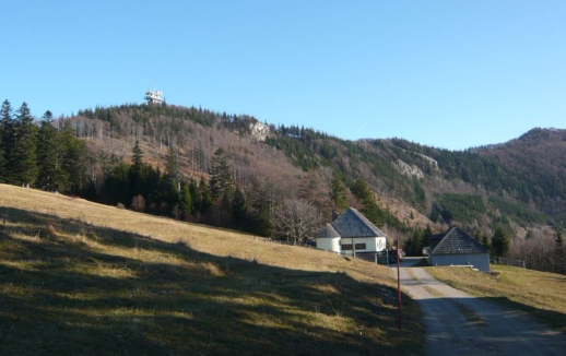 Klosteralpe mit Muckenkogel im Hintergrund