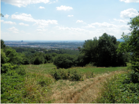 Blick weit nach Sden und Osten von der Satzbergwiese aus