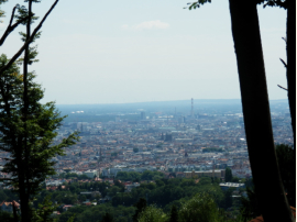 Blick auf Wien beim Aufstieg zum Heuberg