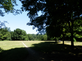 Kreuzeichenwiese