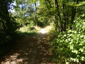 Zwischen Promenadegasse und Waldhttenweg