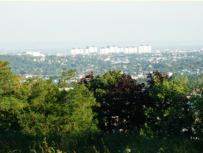 Blick vom Wolfersberg gen' Sden