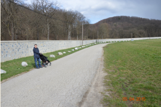 Tiergartenmauer beim Gütenbachtor
