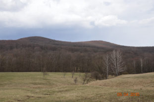 Blick auf Hornauskogel und Kaltenbründlberg am Übergang vom Dianator zum Gütenbachtor