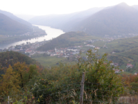 Blick auf die Donau von der Buschandlwand
