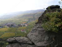 Blick von der Kgerlwand hinaus auf die herbstlichen Weinberge