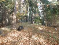 Gipfel des Kuhberg