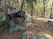 Typische Granitfelsen auch in der Wachau - hier am Seiber