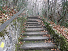 Am Aufstieg nach St. Chrischona oberhalb von Bettingen