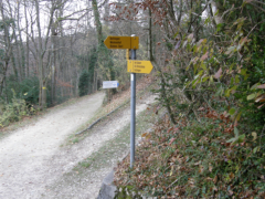Gut beschilderter Weg nach St. Chrischona