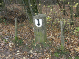 Grenzstein Schweiz-Deutschland unterhalb von St. Chrischona