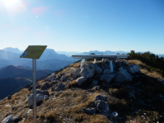 Am Hochkogel