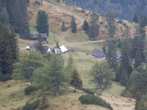 Aigelsbrunner Alm vom Heiligenbrunn aus gesehen