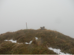 Hchste Stelle auf der Lahnerleitenspitze