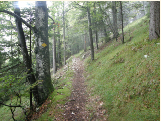 Am schnen steilen Abstieg nach Moutiers
