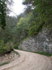 Auf der Forststrae durch die Rochers du Droit