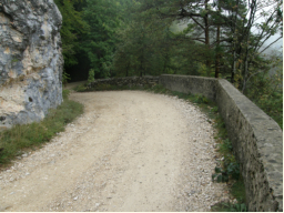 Forstrae hinauf zum Restaurant du Raimeux