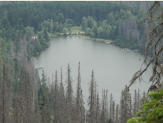 Plckensteiner See (Plen jezero)