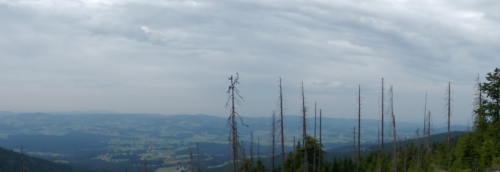 Blick vom Adalbert-Stifter-Steig hinein nach Niederbayern