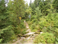Grenzbergang im Wald zwischen Bayern und Obersterreich