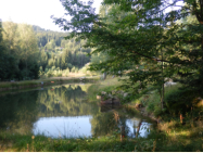 Fischteich bei Oberschwarzenberg