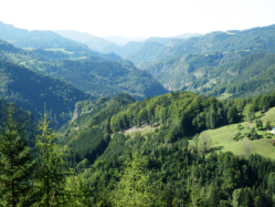 Herrlicher Blick auf den Erlaufgraben beim bergang zum Molterkogel