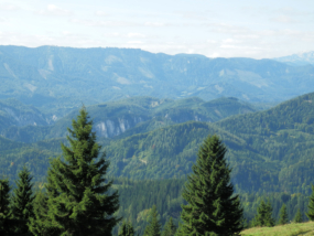 tschergrben vom Hochstadelberg aus gesehen - rechts der Drrenstein