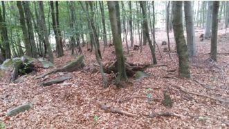 An der hchsten Stelle von Linz an der Grenze zu Oberbairing