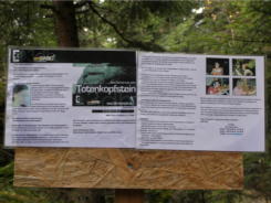 Infotafel zum Totenkopfstein