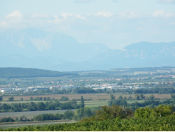 Gezoomter Blick auf Schneeberg und Hohe Wand beim bergang vom Goldberg zum Seeberg