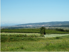 Eisenstadt vom Goldberg aus gesehen - links im Hintergrund die Hohe Wand