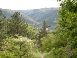 Blick auf Donautal und Dunkelsteiner Wald am Abstieg nach Oberloiben
