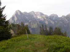 Gipfelmarkierung am Anhartskogel